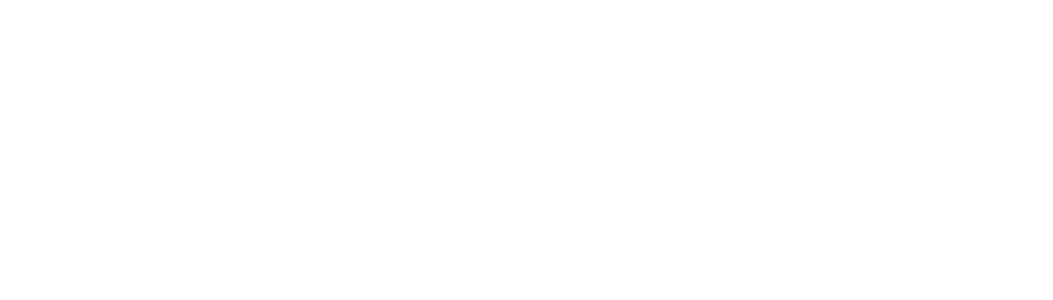 Logo Anitec-Assinform